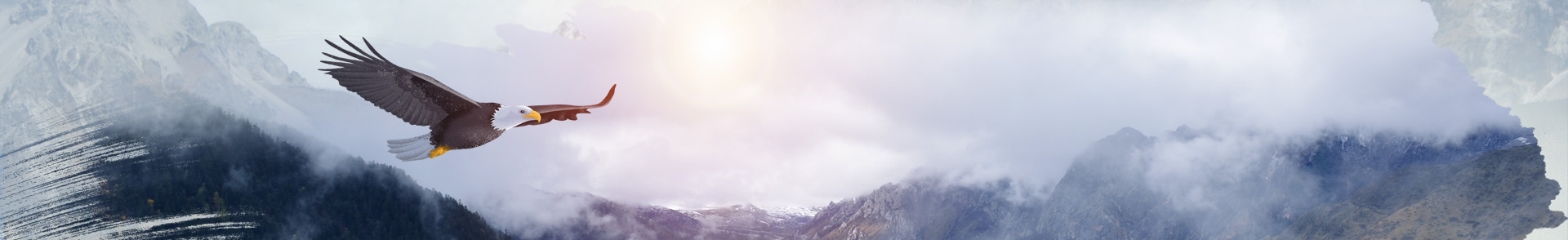 GCGC黄金城集团-官网